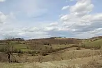 Lelic - Panorama