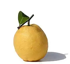 Description de l'image Lemonade_fruits_2.jpg.