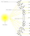 Représentation du trajet des rayons lumineux dans une lentille de Fresnel.