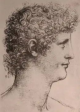 Dessin en noir et blanc représentant la tête d'un jeune homme aux cheveux frisé vu de profil.