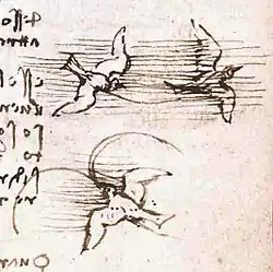 Image illustrative de l’article Codex sur le vol des oiseaux