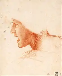 Dessin au crayon avec estompes représentant la tête d'un homme vue de côté en train de crier.