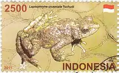 Description de l'image Leptophryne cruentata 2011 stamp of Indonesia.jpg.