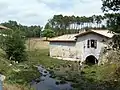 Ancien moulin à eau au lieu-dit Musset (août 2012)