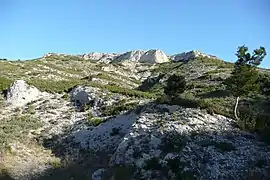 Le domaine Hauvette est situé au pied du massif des Alpilles.