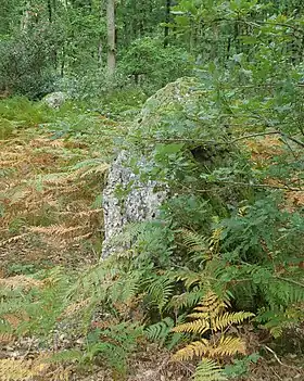 Alignement des Bruyères, Les Baux-Sainte-Croix