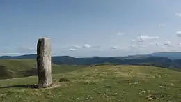 Menhir de Colobrières