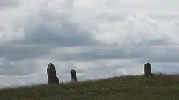 Menhirs de la colline de Treimes