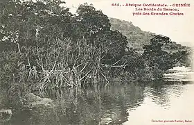 Les bords du Samou près des grandes chutes.