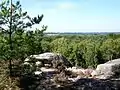 Vue sur la Mer de Sable depuis l'une des buttes du site des Bruyères de Frais-Vent.