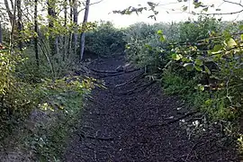 Chemin creux (ancien canal à sec ?)