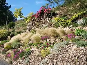 Vue sur une partie du Jardin des Braves.