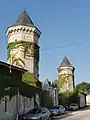 Les tours pigeonniers du château.