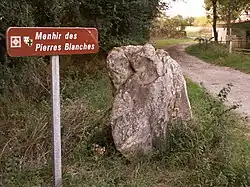 Image illustrative de l’article Menhir des Pierres Blanches