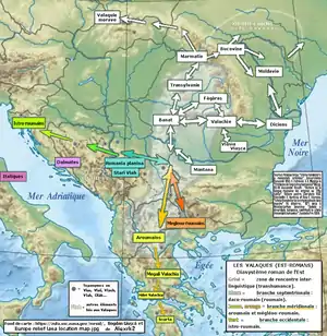 Schéma de la séparation du Proto-Roumain en langues romanes orientales différenciées dans les Balkans et les Carpates.