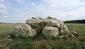 Image illustrative de l’article Dolmen de l'Hôtel-Dieu