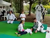 Festival de sports, Les cours sont dispensés par un éducateur sportif diplômé du BPJEPS option judo