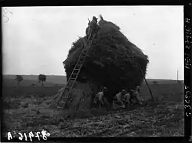 Image illustrative de l’article 4e division de cavalerie (France)