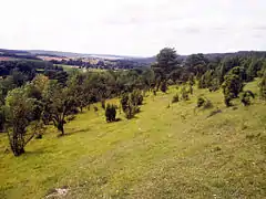 Les larris à Saint-Aubin-Rivière.