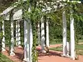 Les pergolas du parc de la Tête d'or (Lyon).