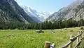 Une vue des prés de Saint-Ours.