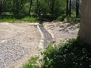 Les premiers mètres à l'air libre de la Loire vers l'océan (mont Gerbier-de-Jonc).