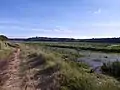 La Vasière de Kerdaniel et le sentier littoral longeant la rive droite de la Rivière d'Auray.