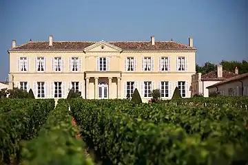 Les vignes et le château.