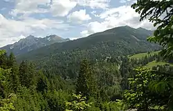 Vue sur la vallée et les Alpes carniques.