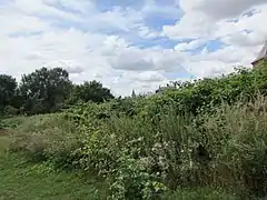 Le clocher de l'église dans la verdure.