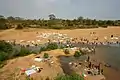 Lessive dans le fleuve Benoué au Nord Cameroun.