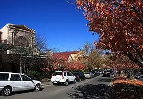 Leura