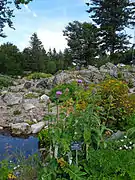 Xonrupt-Longemer, le Jardin d'altitude du Haut Chitelet.