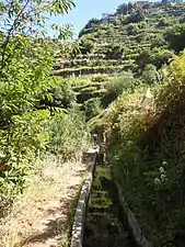 Levada do Norte