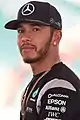 Lewis Hamilton, coureur automobile.