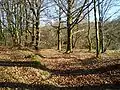 Chemin de Leycuras aux Monts.