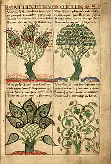 Arbres symbolisant les Béatitudes : olivier, platane, térébinthe, vigne  (fo 125)
