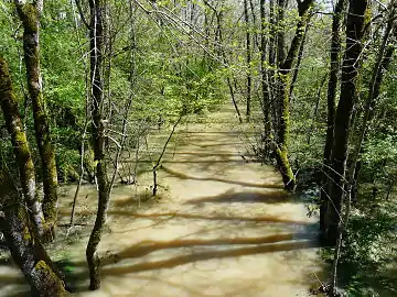 La Lidoire en limites de Saint-Rémy et Saint-Méard-de-Gurçon.