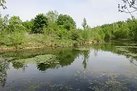 Vue de la partie occidentale de l'étang à sa jonction avec le ruisseau des Hauldres.