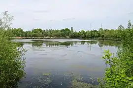 La partie orientale de l'étang.