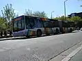 Bus sur la ligne 1, Place Leclerc.