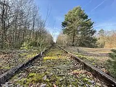 La voie, vue en direction de Malesherbes, peu après la gare de Bourron-Marlotte - Grez.