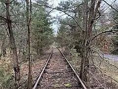 Vue de la voie envahie par la végétation en direction de Saint-Martin d'Etampes, un peu après Boissy-La-Rivière.