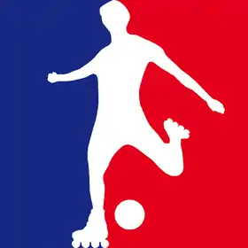 Image illustrative de l’article Ligue française de roller soccer