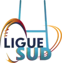 Second logo utilisée par la ligue depuis 2018