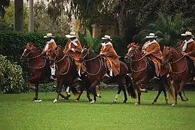 Un groupe de chevaux de couleurs marron montés par des cavaliers.