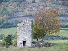 Cabanon étroit, construit en hauteur, isolé dans un champ. Un arbre pousse contre lui.