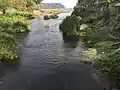 Rivière de limbé