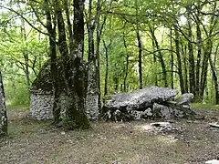 Le dolmen de Peyrelevade.