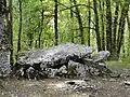 Dolmen de Peyrelevade (Limeyrat)